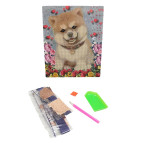 Алмазна мозаїка по номерам, картон 21*25см ООПТ з інструментом та мольбертом D21268 Песик