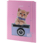 Папка-короб А4 на гумках Kite картон  ДЛЯ ТРУДА Studio Pets SP23-213