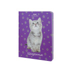 Щоденник шкільний Maxi А5+ 48арк MX29932-43