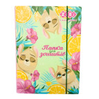 Папка для зошитів В5 ZiBi картонна на гумці Cute ZB.14983