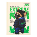 Щоденник шкільний ZiBi В5 (17,6*25см) Crown ZB.13828