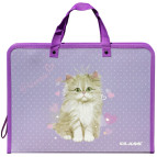 Папка-портфель 25,5*35см Class пластик на блискавці 5634-24C Princess Cat