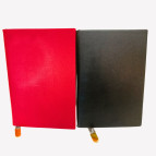 Блокнот А5 (148*210мм) 100арк ООПТ інтегральний шкірзам, мікс 196-25