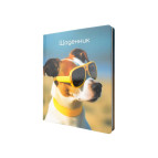 Щоденник шкільний Maxi А5+ 48арк MX29917