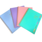 Зошит на спіралі В4 100арк пластик обкл Оопт 4076 кліт.