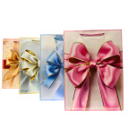 Пакет подарунковий паперовий 18*23*10см з фольгою, Бант 2092-S