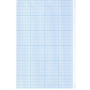 Міліметровий папір А4 (1аркуш) ФОЛДЕР 00042