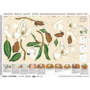 Папір для 3D-декупажа В2 50*70см 99028 Магнолии