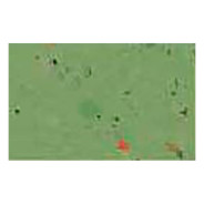 Картон ручн роботи URSUS А4 250г/м хлопок Зелений UR-14822258R