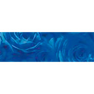 Калька URSUS А4 115г/м РОЗЫ Темно-синій UR-50614607R