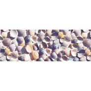 Калька URSUS А4 115г/м МОРЕ Ракушки UR-50634603R