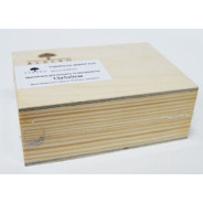 Заготовки для декорування дерево Скринька 13*5*9см Rosa Talent