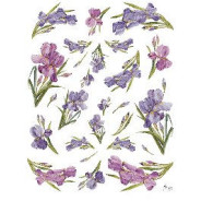 Декупажна карта Classica 30*40см DC-034-bis Іриси маленькі