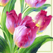 Салфетка для декупажа ! Поштучно 1/5 ! 33*33см 387360 Тюльпаны. Цветение