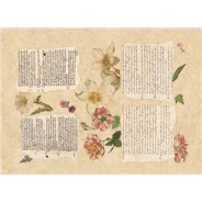 Декупажна карта 50*70см 90792 Листи та квіти