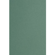 Папір тонований ЛІЛІЯ-ХОЛДІНГ А4 1аркуш 200г/м2 ЗЕЛЕНИЙ КЦА4зел