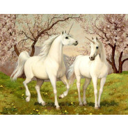 Картина по номер. на холсті 40*50см Идейка КН2431 Пара єдинорогів