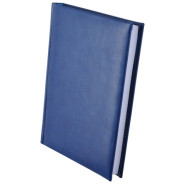 Щоденник А5 Buromax недатований Expert Синій BM.2004-02