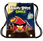 Сумка для взуття Cool For School AB03845 Angry Birds