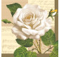 Салфетка для декупажа ! Поштучно 1/20 ! 25*25см №02901 Белая роза