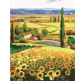 Картина  по номер. на холсті 40*50см Идейка КН2203 Рідні лани