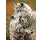 Картина по номер. на холсті 30*40см Бебилон Турбо VK034 Степові вовки
