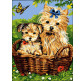 Картина по номер. на холсті 30*40см Бебилон Турбо VK105 Йорки у кошику