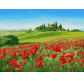 Картина по номер. на холсті 40*50см Бебилон Турбо VP541 Маковое поле