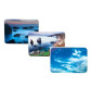 Килимок для миші 157х227мм PVC Panta Plast асорті 0318-0018-99
