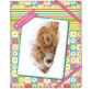 Папка B5 на гумках пластик Cool For School My funny puppy CF31642-01