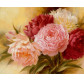 Картина по номер. на холсті 40*50см Mariposa Q1351 Шикарные пионы