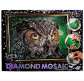 Алмазна мозаїка по номерам на холсті 20*30см DankoToys DT DM-02-01 Сова