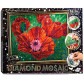 Алмазна мозаїка по номерам на холсті 20*30см DankoToys DT DM-02-04 Маки