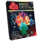 Набір для творчості DankoToys DT OMC-01-08 Magic Crystal досліди з кристалами