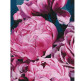 Картина  по номер. на холсті 40*50см Идейка КН3002 Букет королевских пионов