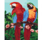 Картина  по номер. на холсті 40*50см Идейка КН4051 Королевские попугаи