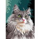Картина по номер. на холсті 30*40см Бебилон Турбо VK177 Сибірська кішка
