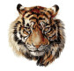 Картина по номер. на холсті 40*50см Бебилон Турбо VP1018 Царственный тигр