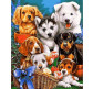 Картина по номер. на холсті 40*50см Бебилон Турбо VP1104 Озорные щенки