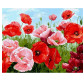 Картина по номер. на холсті 40*50см Бебилон Турбо VP1111 Алые маки