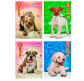 Блокнот А5 80арк дитячий Собаки, асорті 180022