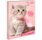 Щоденник шкільний 1 Вересня 911140 ТВП (укр) 'Hello kitten'