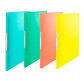 Папка з 40 файлами А4 Esselte Colour'ice 62622*