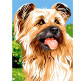 Картина по номер. на холсті 30*40см Бебилон Турбо VK243 Йоркширський терьєр