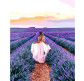 Картина по номер. на холсті 40*50см Бебилон Турбо VP1239 В лавандовом поле