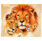 Картина по номер. на холсті 40*50см Никитошка GX28779 Родина левів