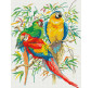 Алмазна мозаїка по номерам на холсті 40*50см Никитошка GJ071 Яскраві папуги