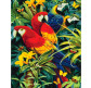 Картина  по номер. на холсті 40*50см Идейка КН4028 Яскраві папуги