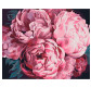 Картина  по номер. на холсті 40*50см Идейка КН3015 Надихаючий аромат