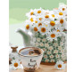 Картина по номер. на холсті 30*40см Идейка КН3076 Ромашкова ніжність